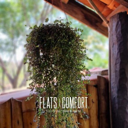 Novidade Flats Comfort Na Vila De Sao Jorge - Chapada Dos Veadeiros Hotel ภายนอก รูปภาพ